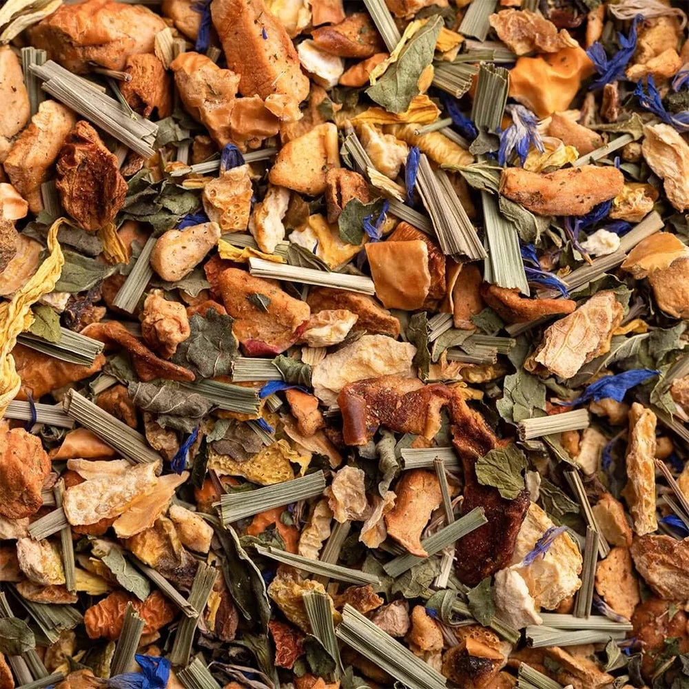 INFUSION DE BEAUTÉ - Recharge